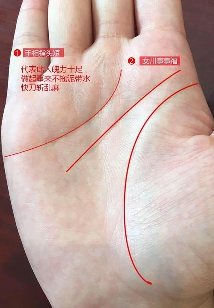 常常说到男人具有川字掌是极旺事业的手相,这样的个头脑思维敏捷,反应