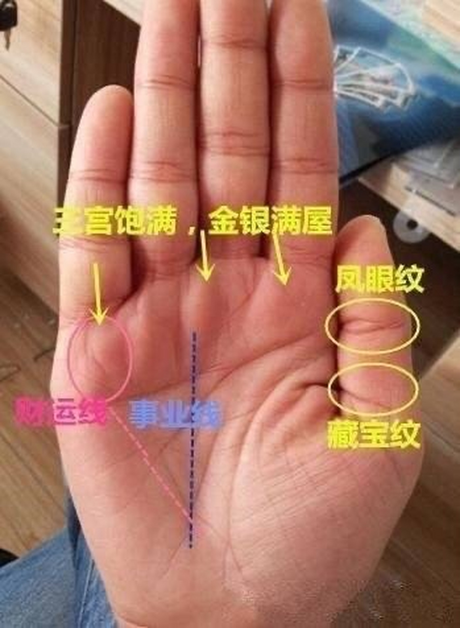 1,手有遇贵纹 手相上有遇贵纹的人,在事业上自身能力比较强,而且