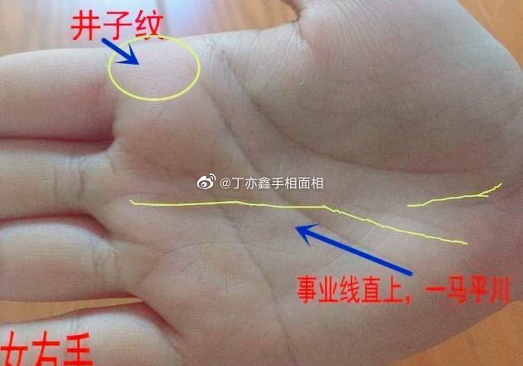 点评手相#手掌中出现一马平川,常有贵人相帮,注定富贵"马"是指事业