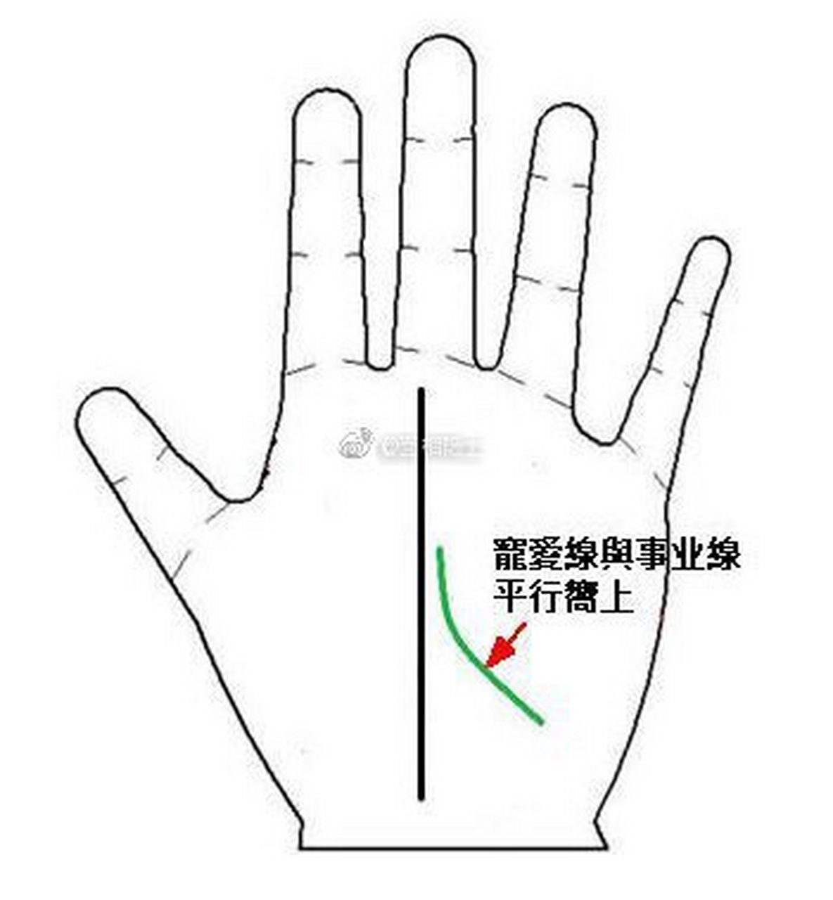 所谓宠爱线是与男女感情有关的线纹,此纹起始于手掌月丘底部向事业线