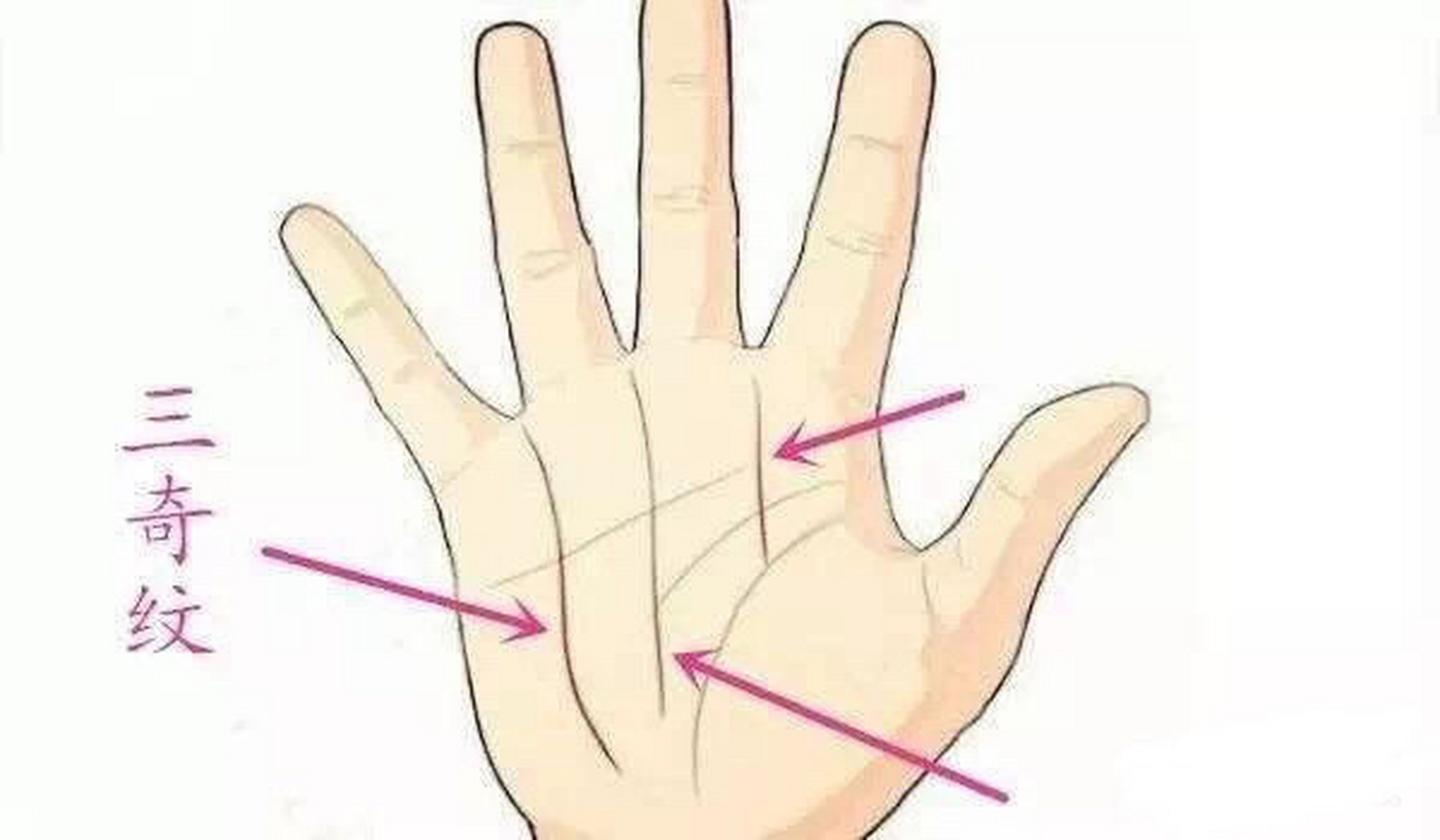 一种非常少见的纹路(三奇纹),由此手相的人不仅富贵而且长寿,不过感情