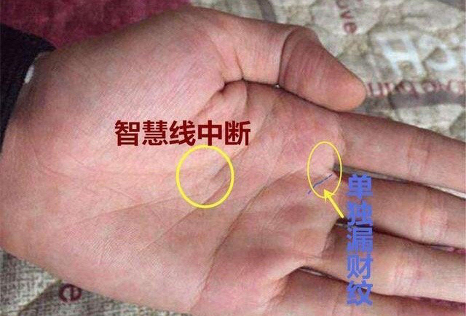 手相算命,  第一,智慧线超短或者断断续续不连接,容易无法集中意志力
