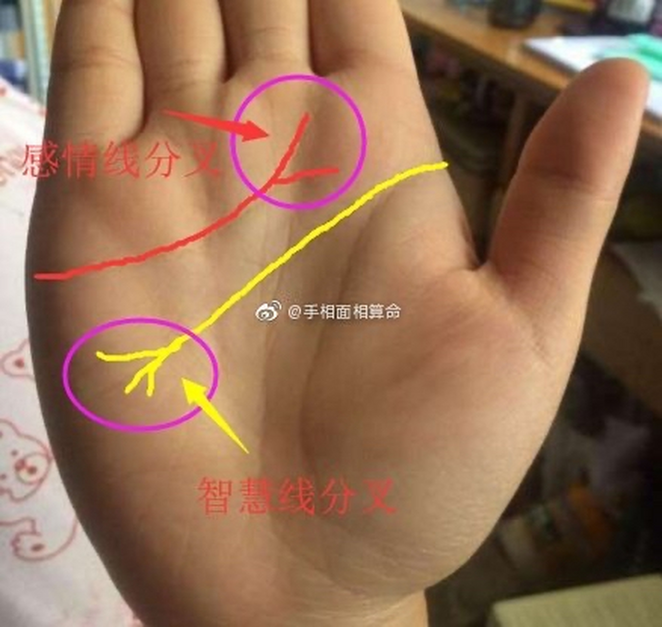 手相知识:3种绝对的离婚纹,希望你没有.  1.