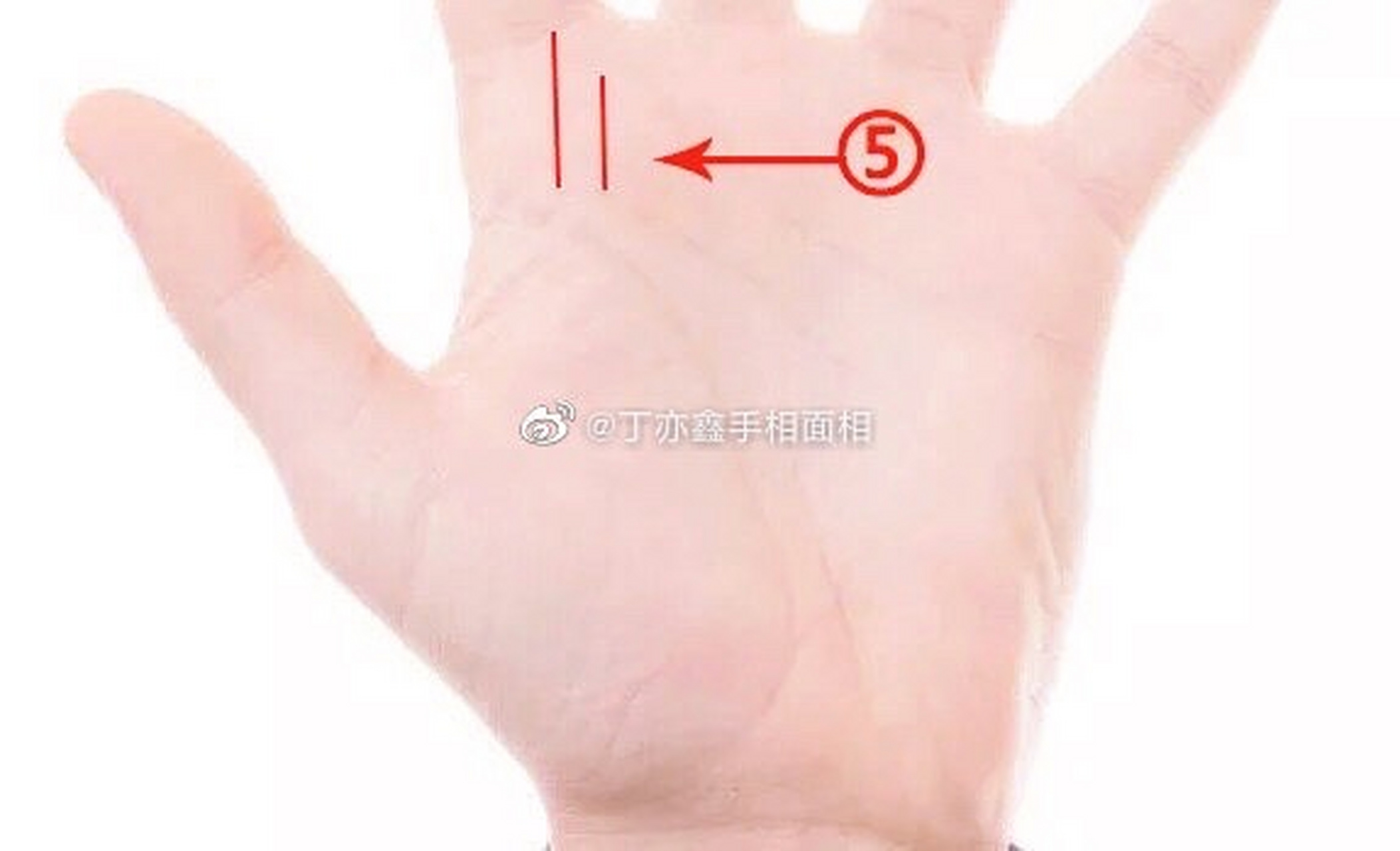 手相[超话]# 上天宠爱线 挨着生命线,有三条线,这三条就是上天宠爱线