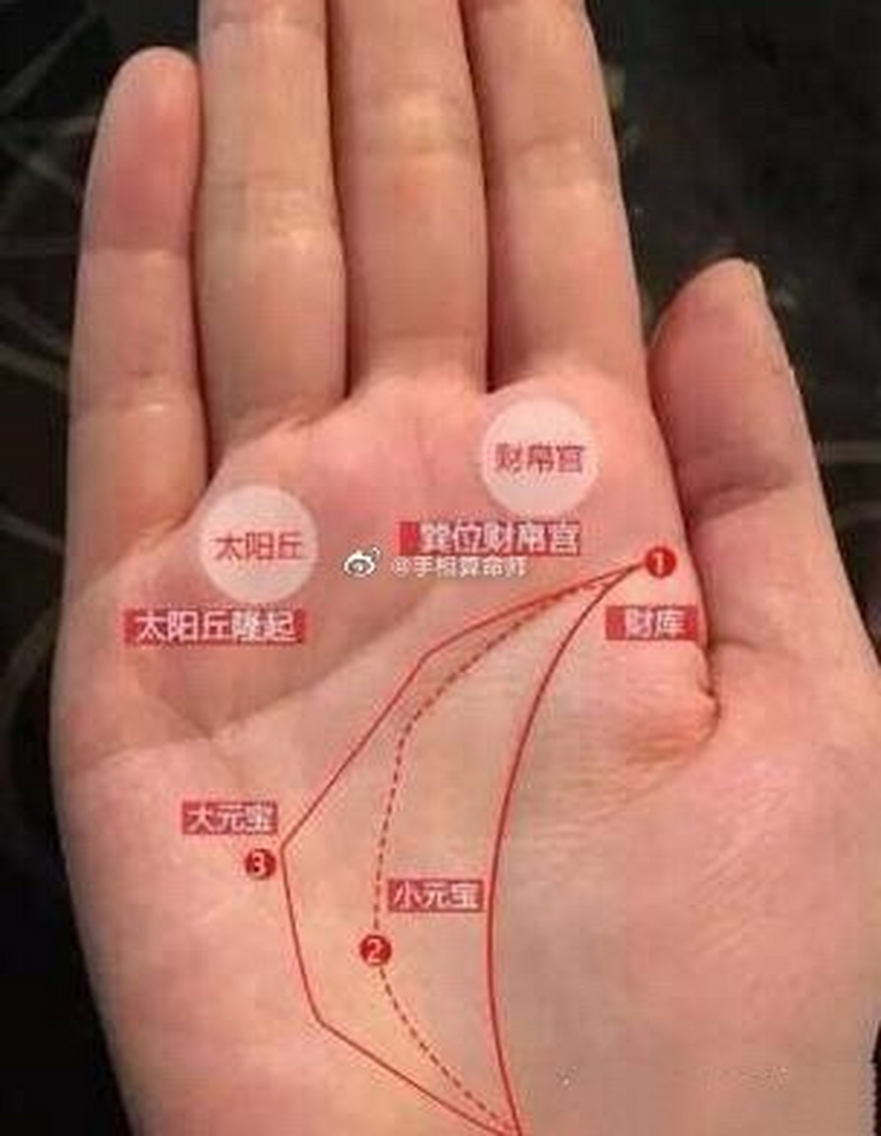 手部太阳丘隆起的女人,大都财运很好,很擅长理财,也容易嫁富贵老公