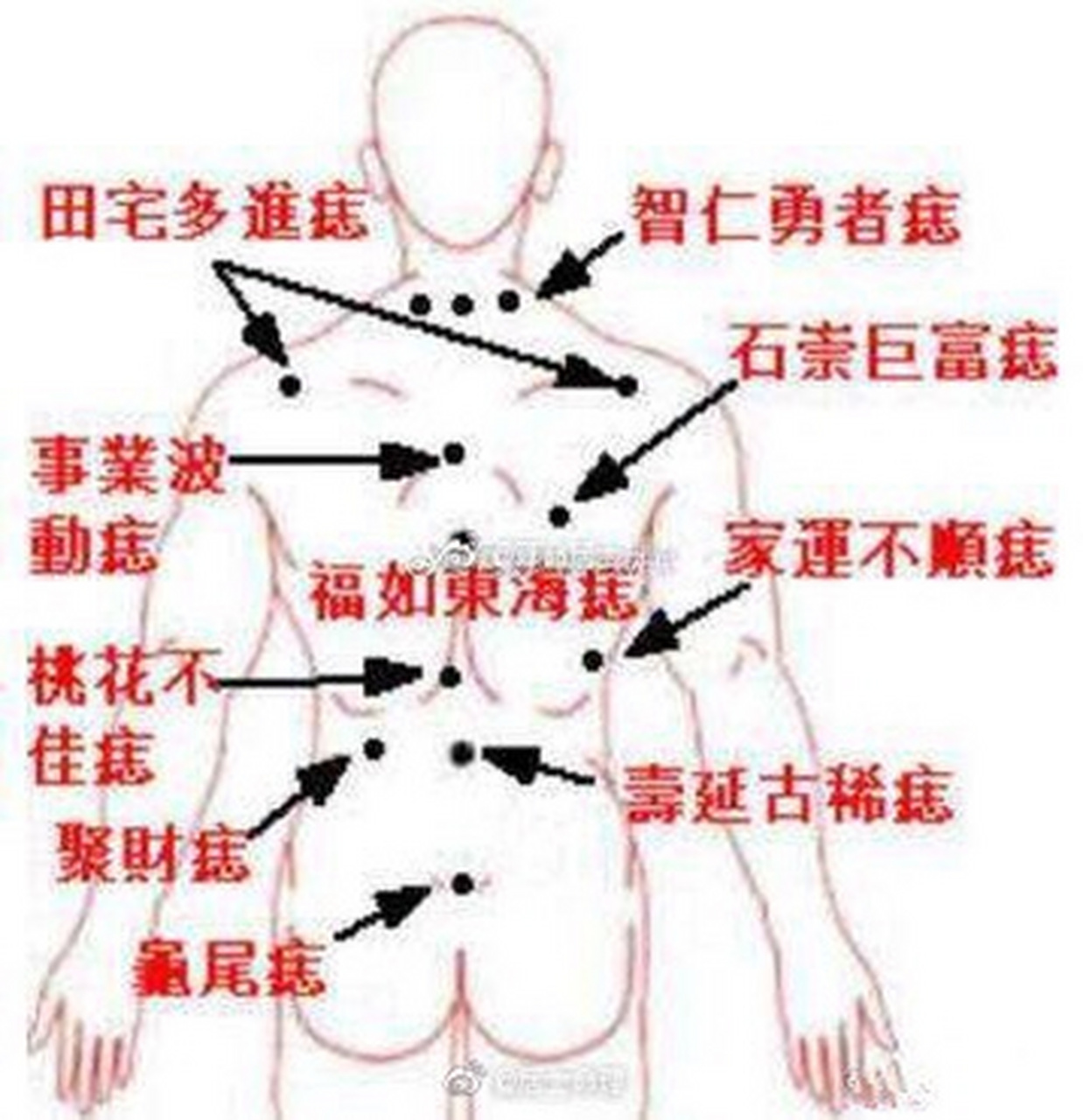 痣相:  一,脊柱正中有痣,不论男女,均为富贵之命