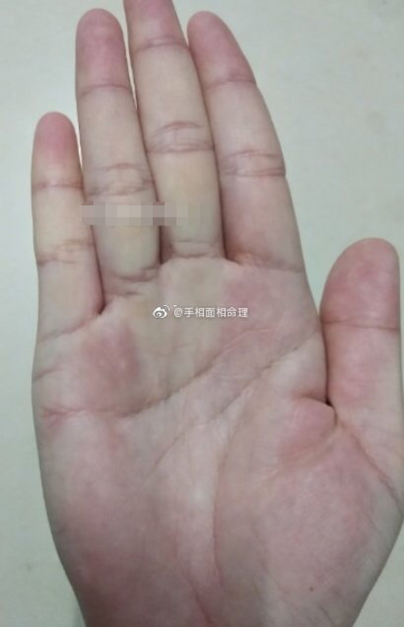 手相预测#从手掌中看,水形手,适应能力特别强,多有艺术才华,如果从小