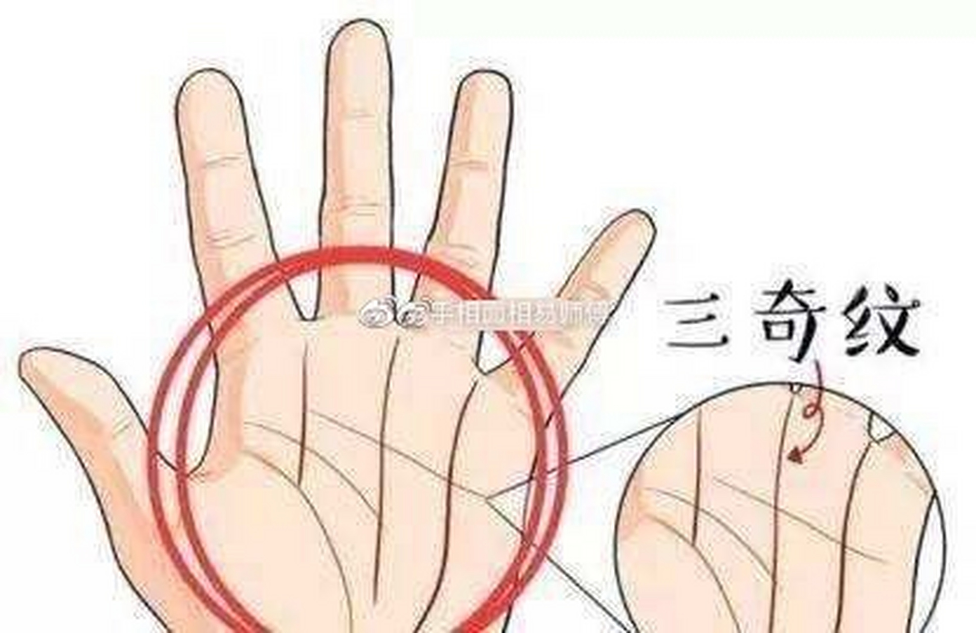 太阳线上出现三奇纹 一,大富大贵 手掌当中的太阳线上,如果出现了三奇