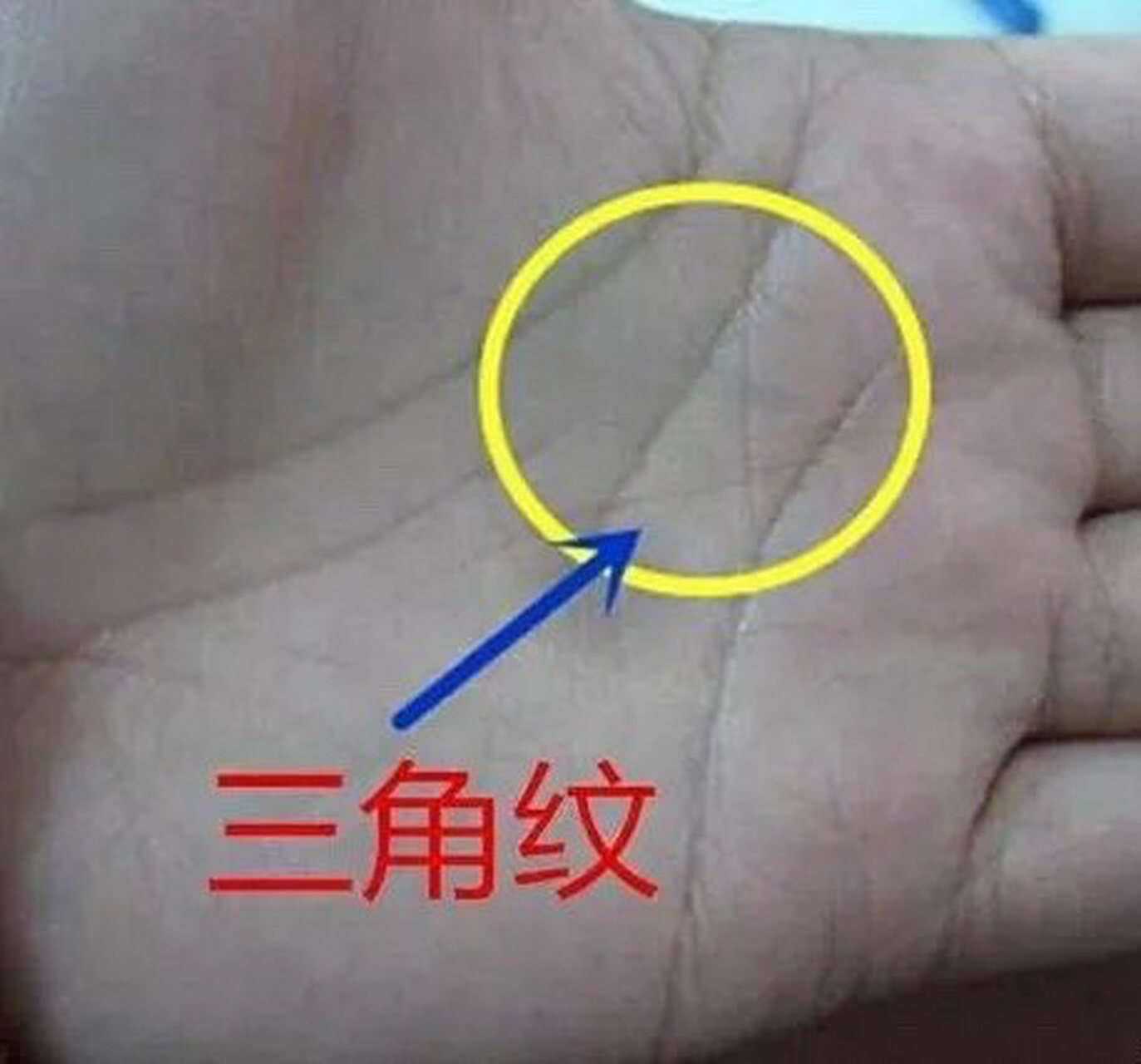 手心三角纹,  手心三角纹属于大财库,财库紧闭,家财资方来聚,注定财产