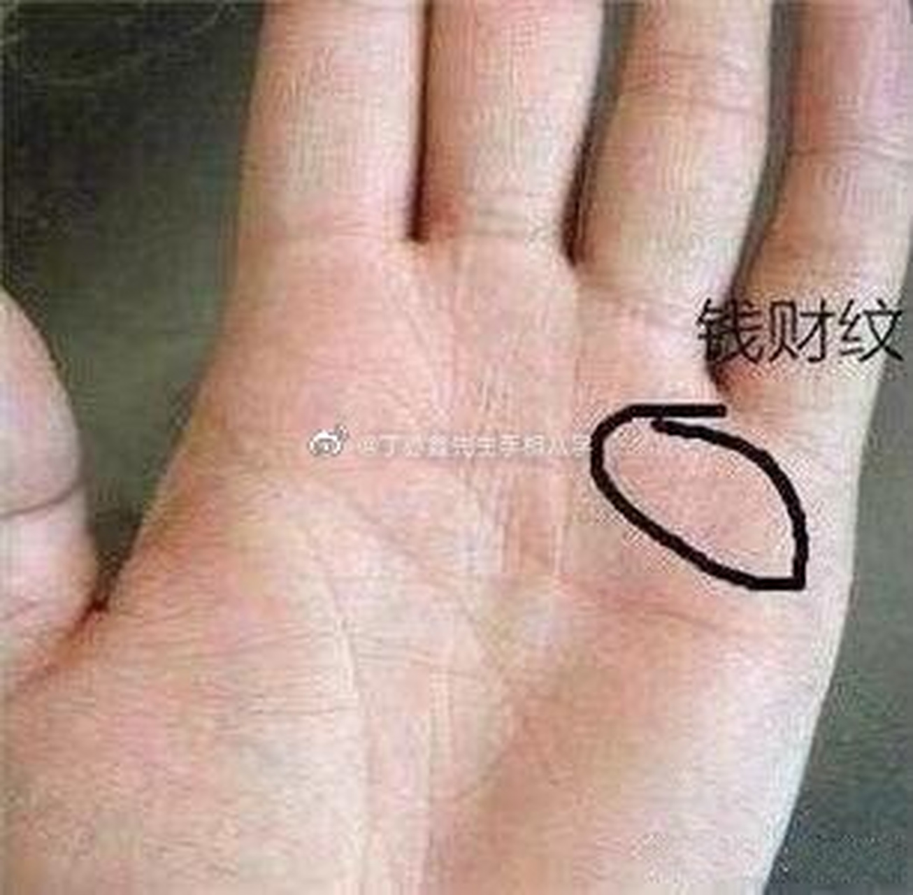 有钱人手相 钱财纹(位于小指与无名指下位置的细小斜纹)但是多数人