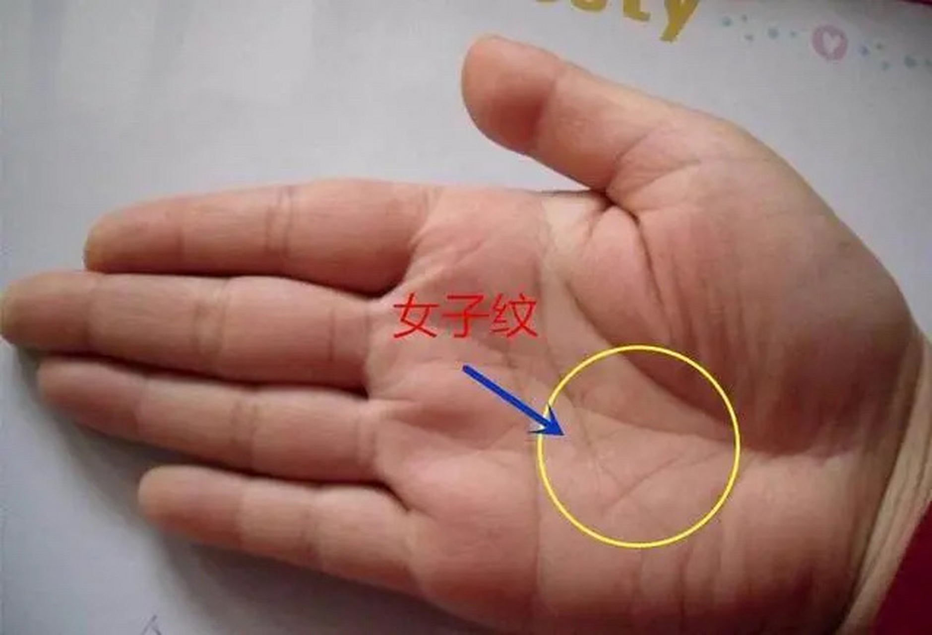 不论男女出现"女字纹",一生不为钱财犯愁,财运不断,事也很成功