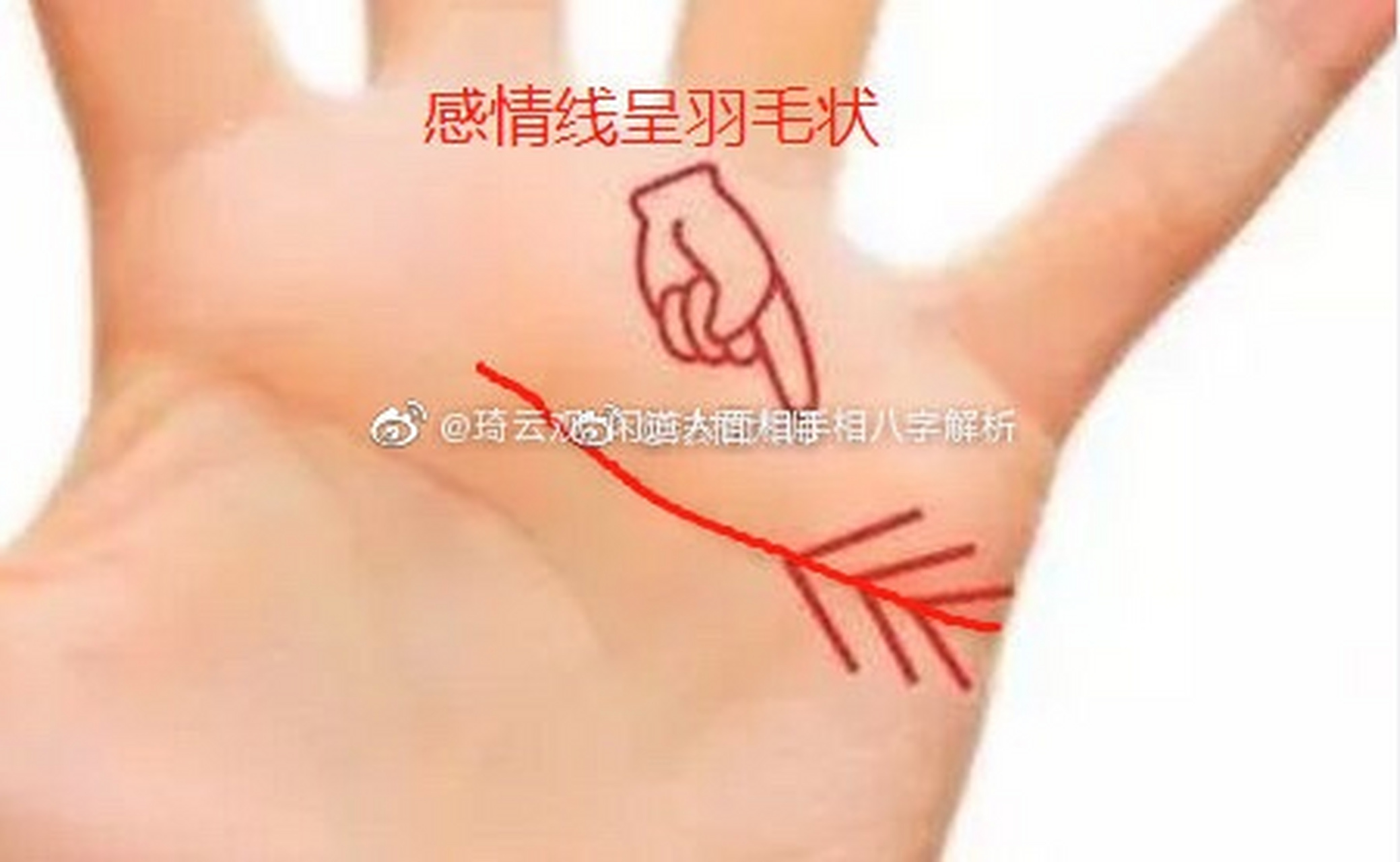 感情线呈羽毛状命运如何  一,冷战不断 感情线呈羽毛状的人的婚姻运势