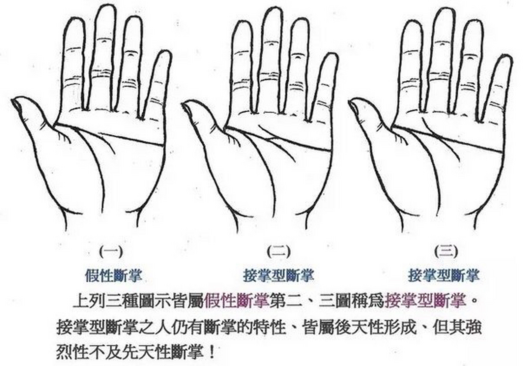 手相假断掌图片