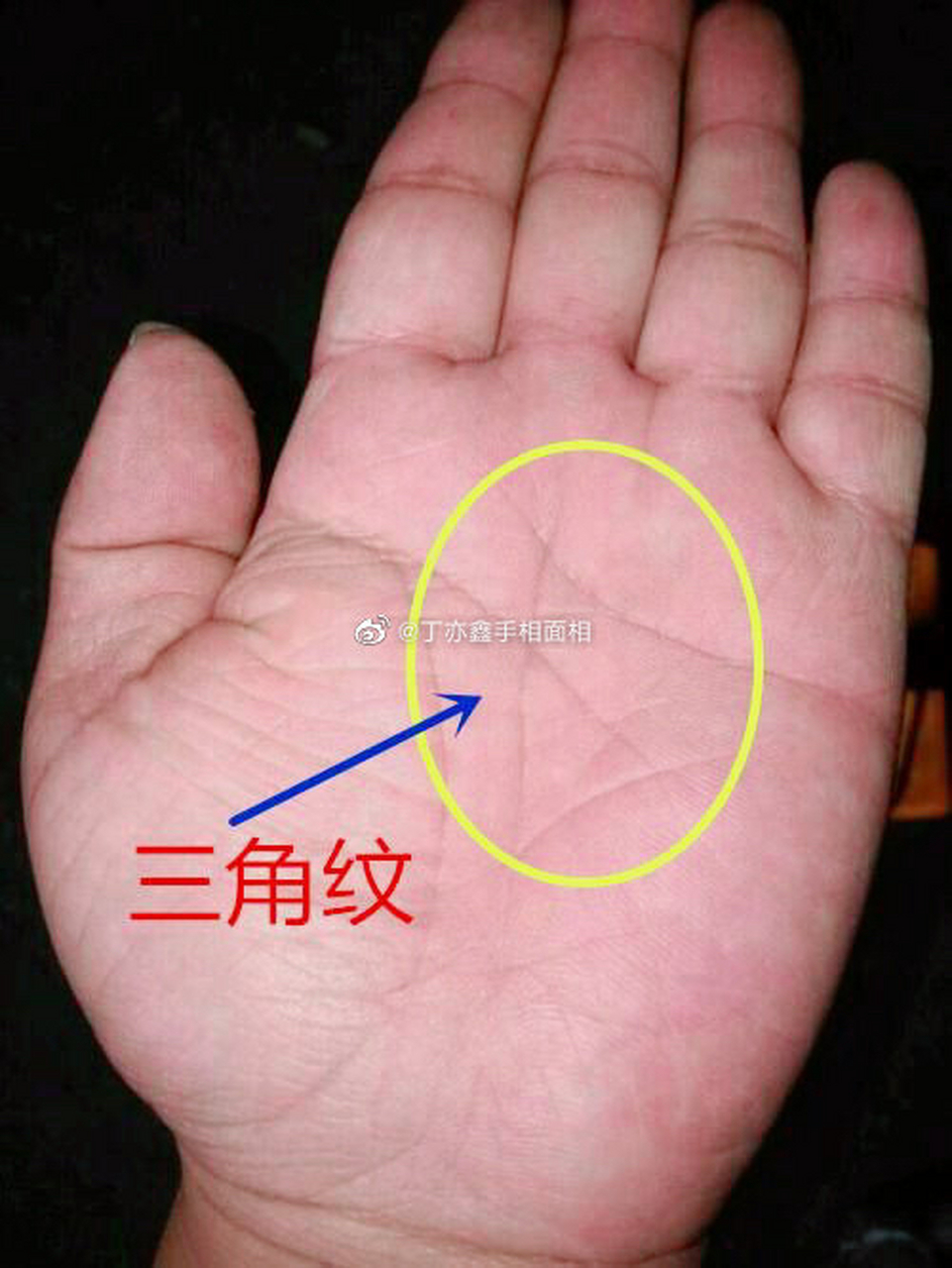 学相[超话 三角纹 手相带三角的人生性机灵,热爱自由,虽然有着比