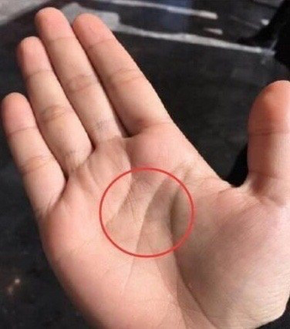 川字掌的男性有什么性格?