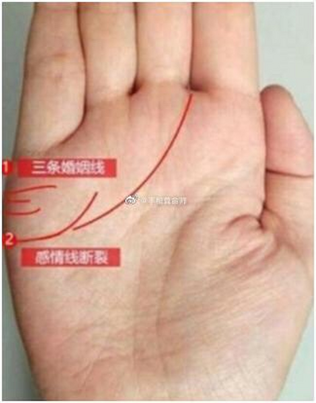 手相算命,粉丝免费简批.