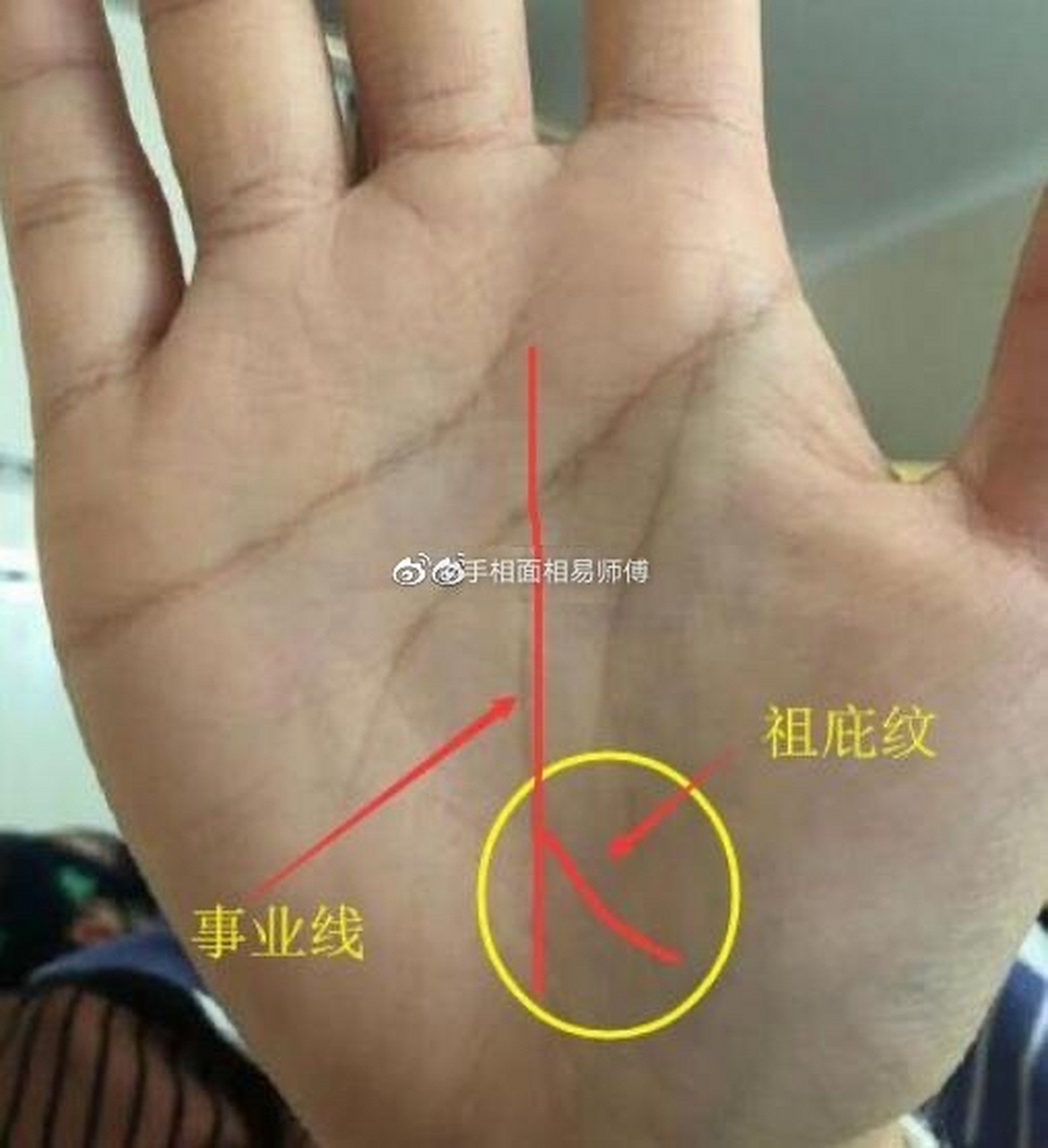 手有"祖庇纹",特别容易获得祖辈庇佑,一生运势顺遂!