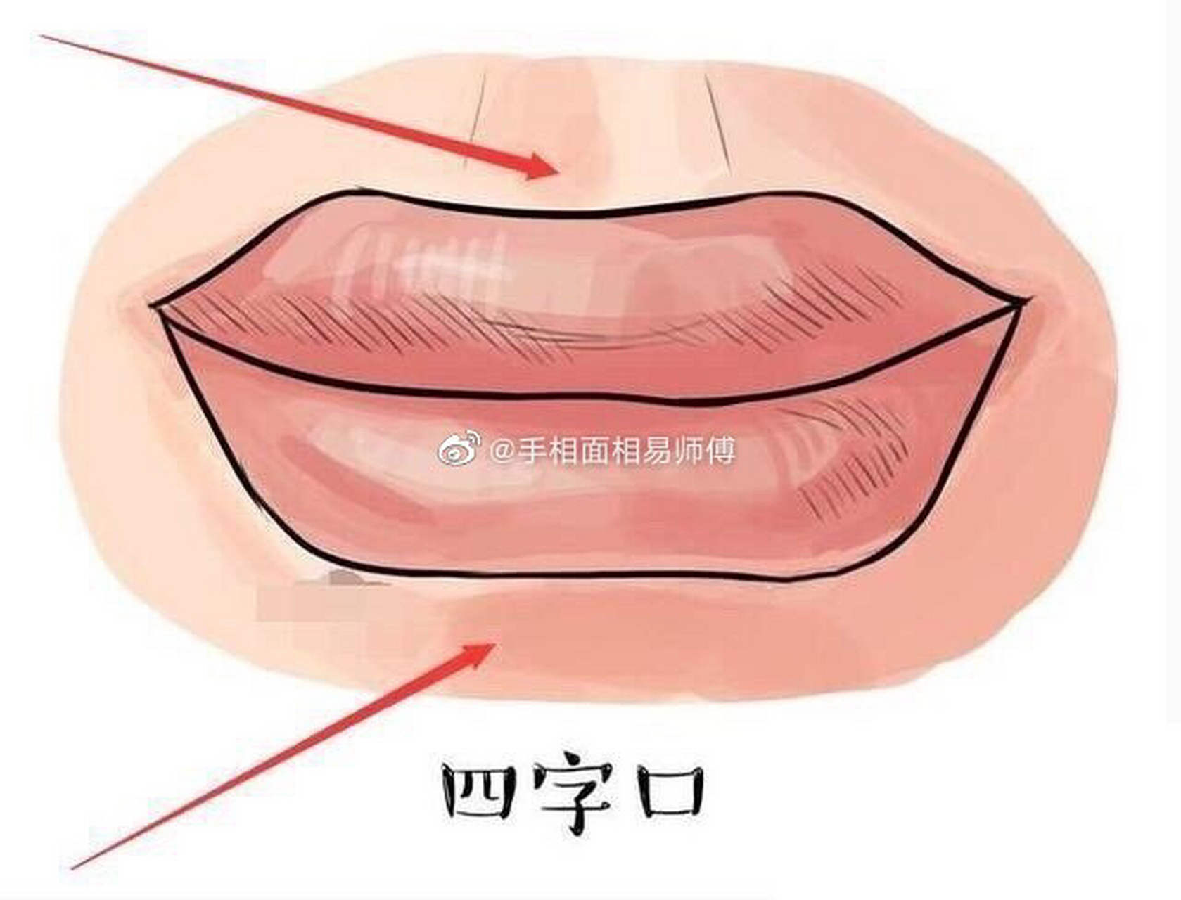 女人四字口面相图片