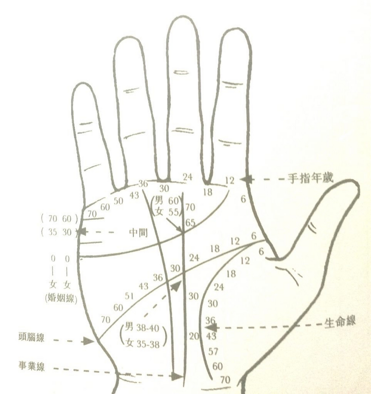 1,钱财纹多的人  在手相上,钱财纹也称为理财纹,是指在小指和无酶指