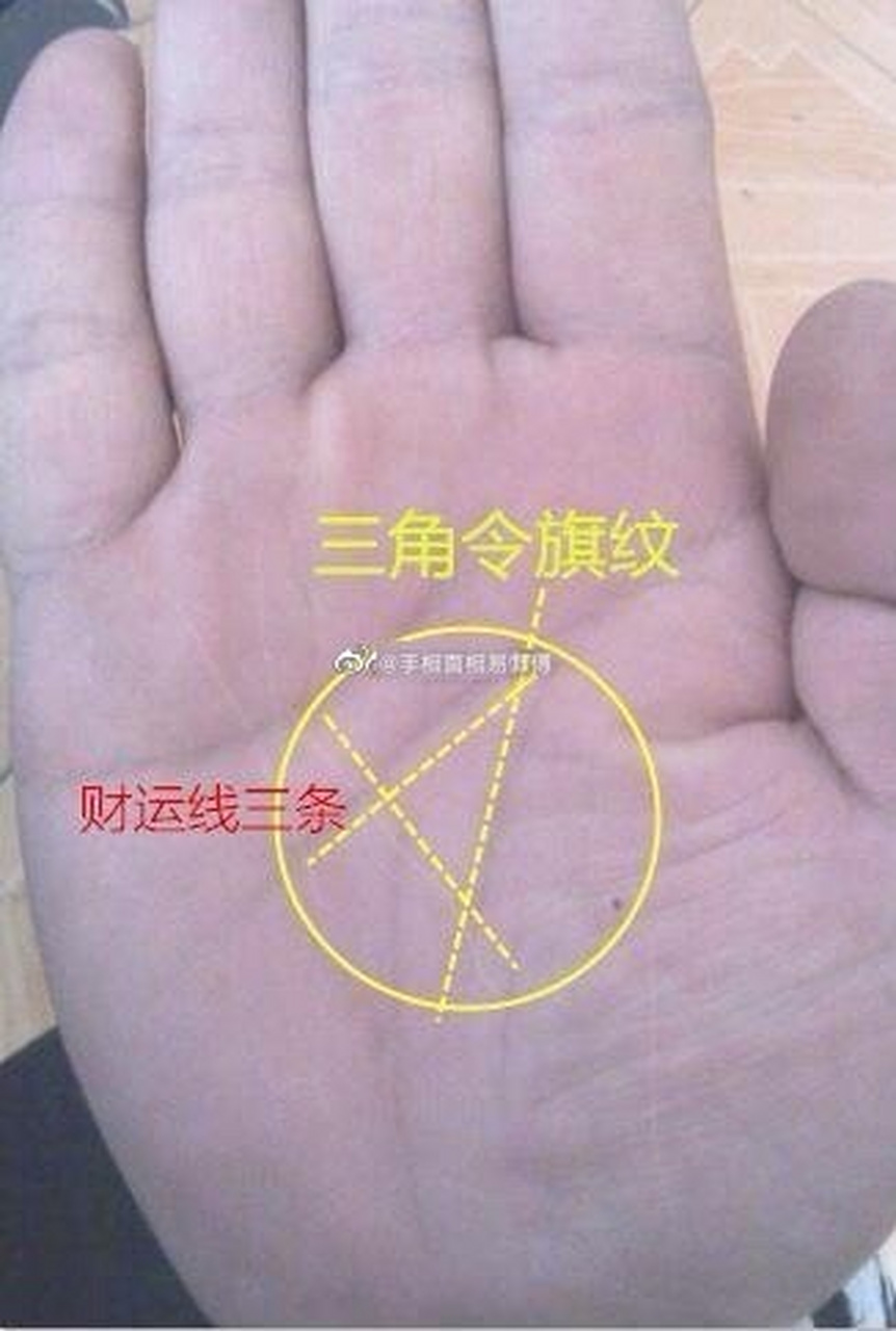 这位福主的明堂出现一个又大又端正的三角形,此乃手相学上的三角纹 
