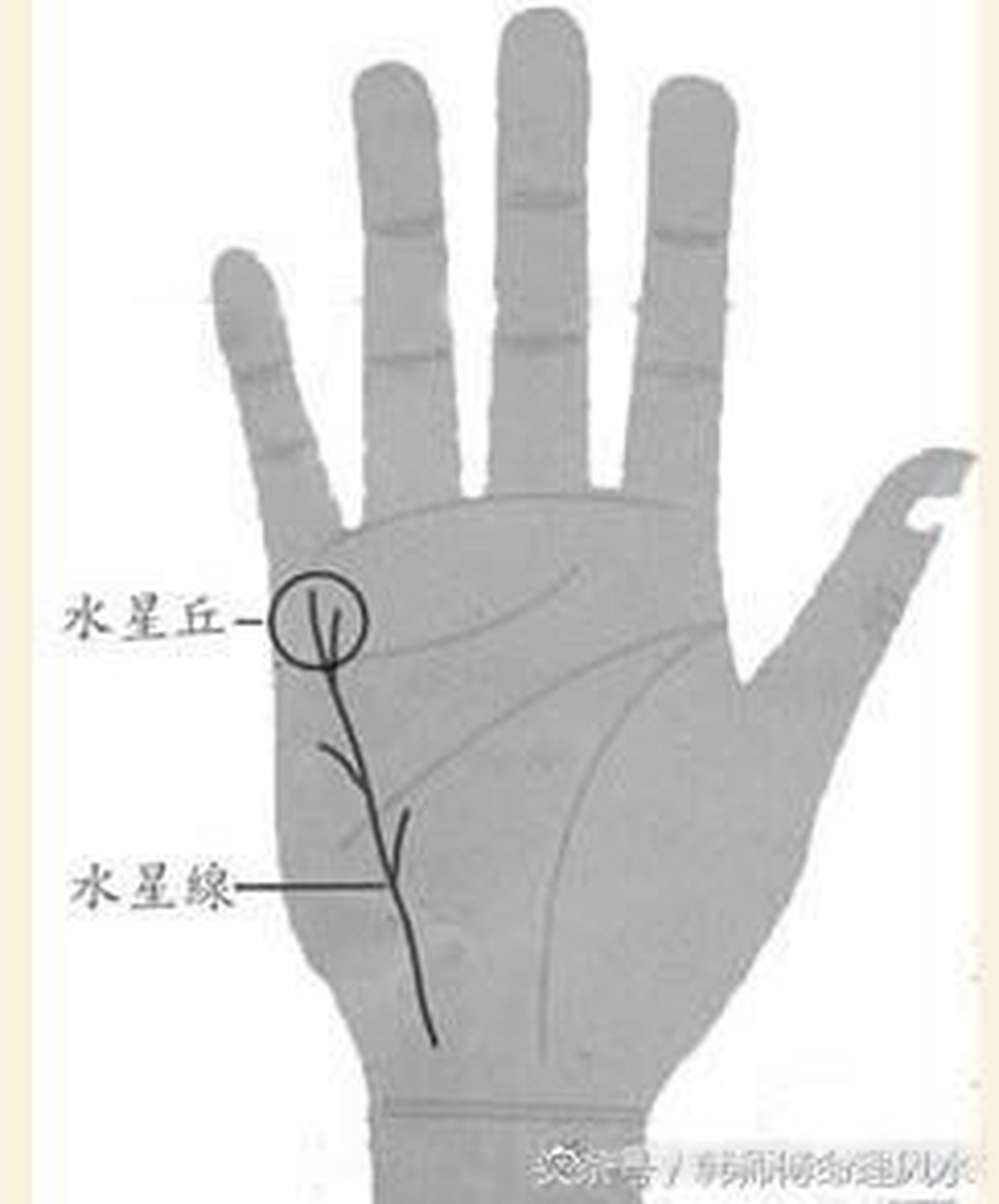 水星线又名
