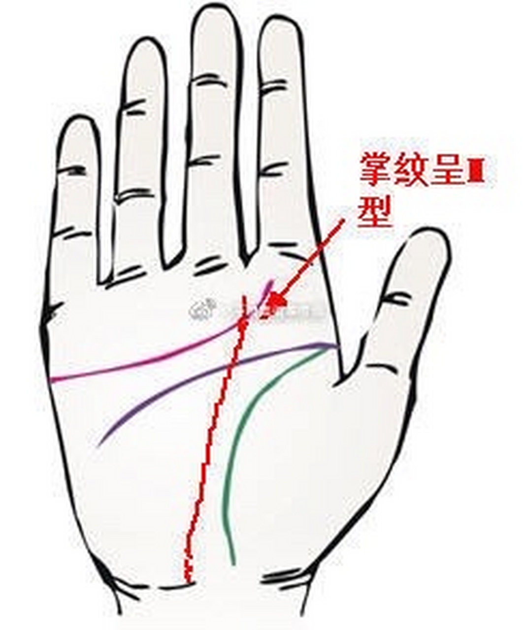 十个m纹九个富[doge]  型掌纹,指的是事业线自手腕处开始向上延伸