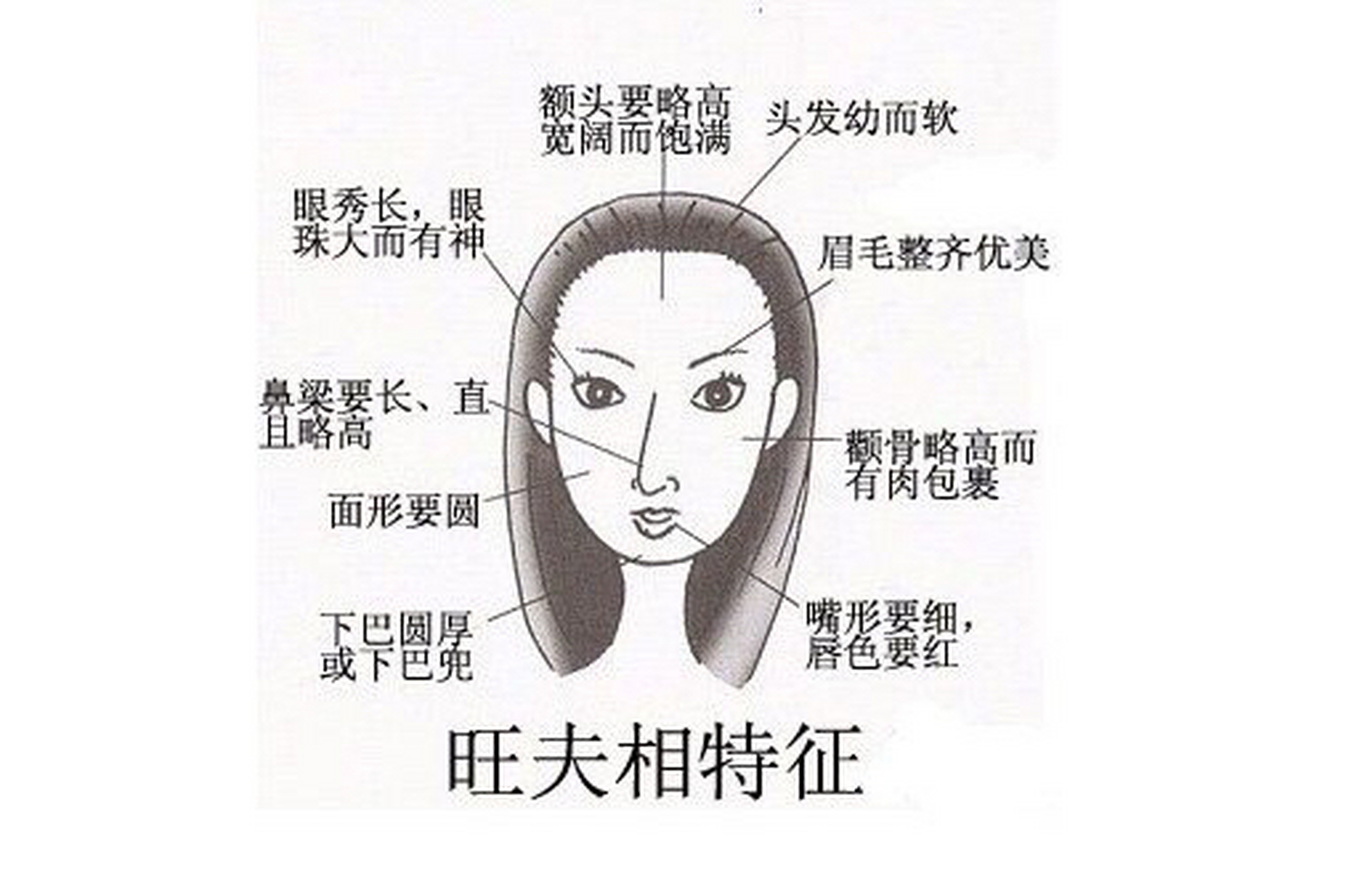 面相分析图女 眉毛图片