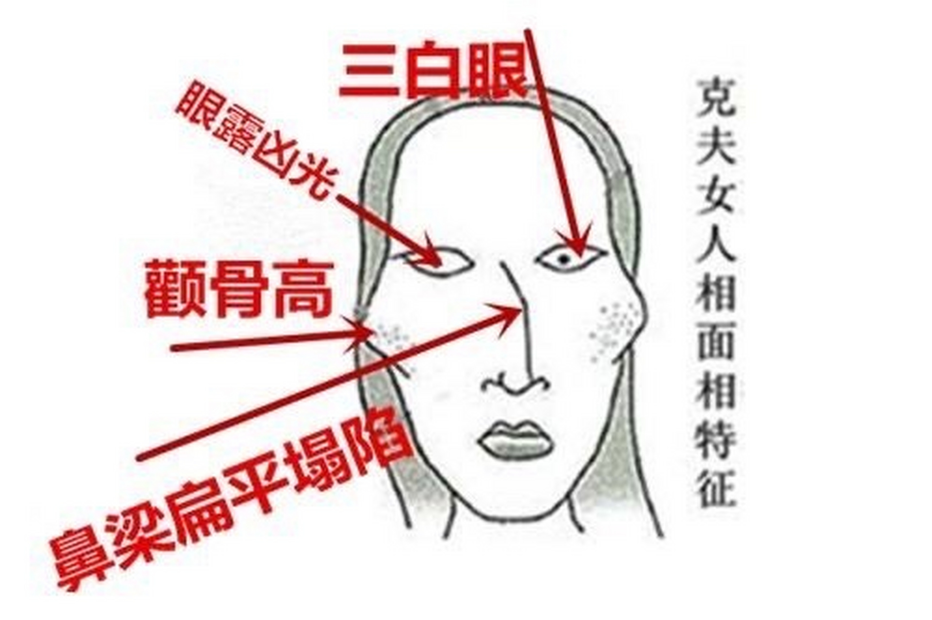 【易妨夫的女性面相】  1,高颧骨 颧骨高的女人,不甘心平淡 的生活,在