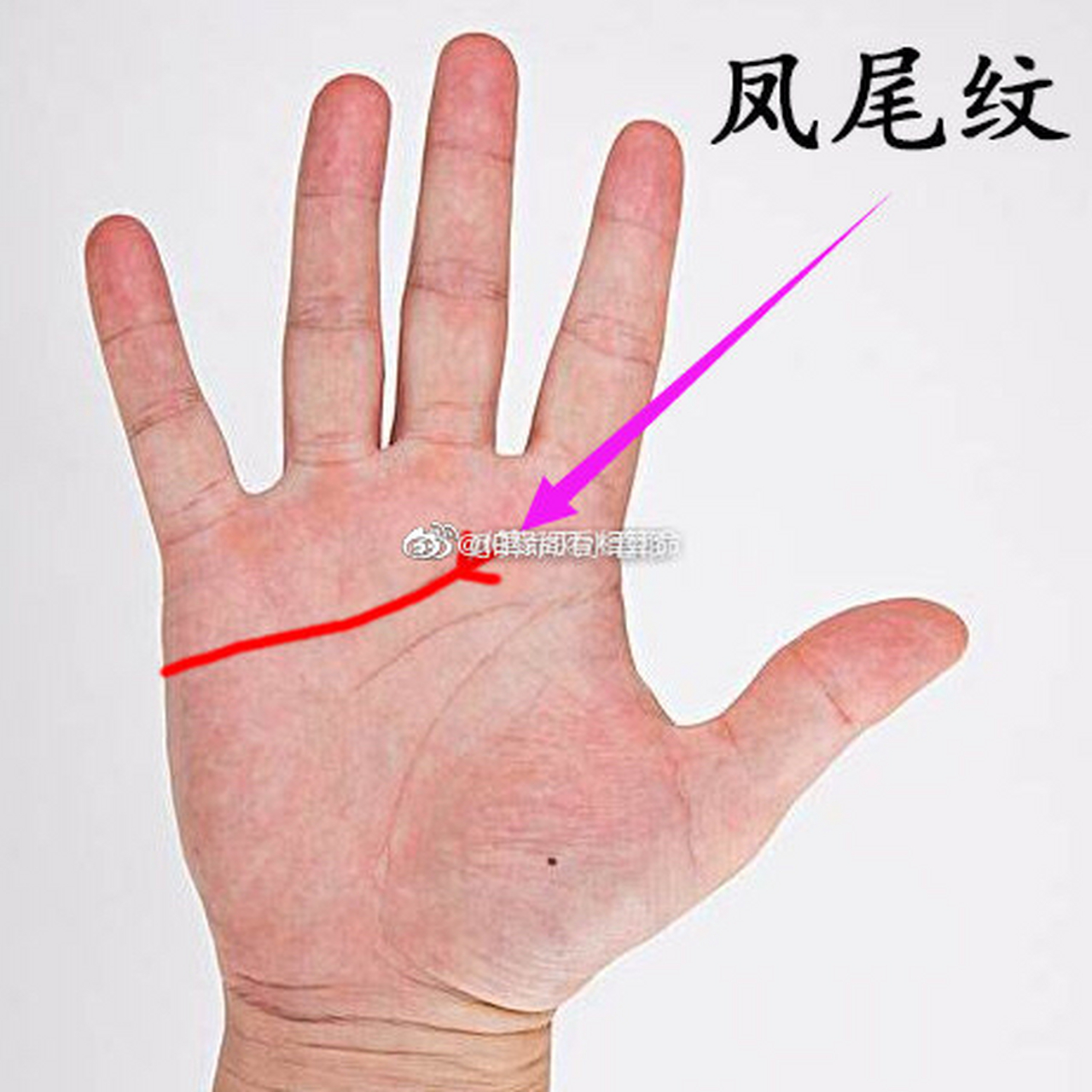 凤尾纹不是感情线尾部分三叉就是,必须要分清,感情线清晰笔直不中断