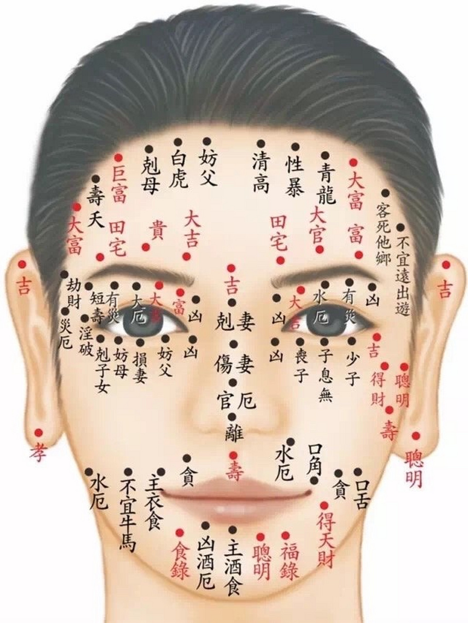 眉型图解面相图片