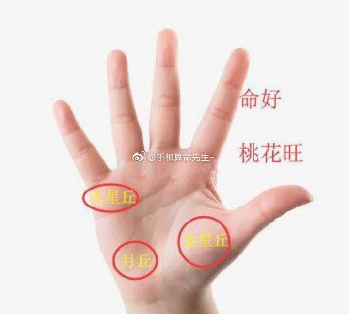 手相三丘饱满的女孩,命好,桃花旺,看看是你吗?