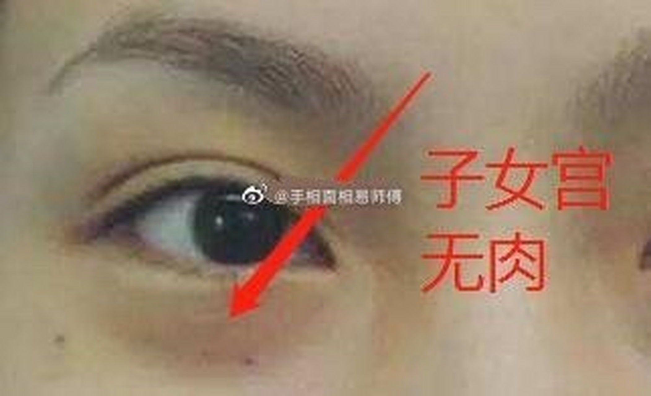 1,子女宫低陷无肉感的女人 子女宫代表了一个人的子女运势和个鹊哪