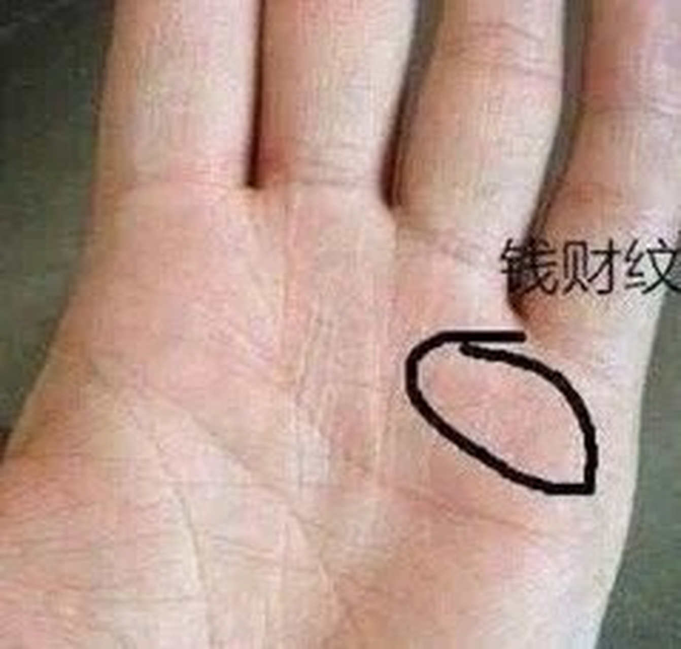 手相中,钱财纹也被称作理财纹,是手掌中常见的和个人偏财运有关的线纹