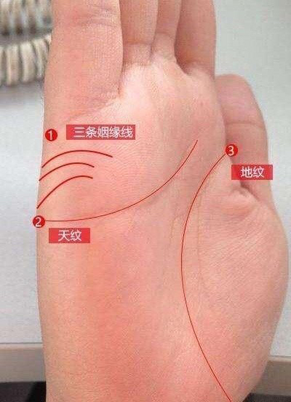 婚姻线又被称作是姻缘线,而先现代,又被称作是爱情线,结合线,是人们