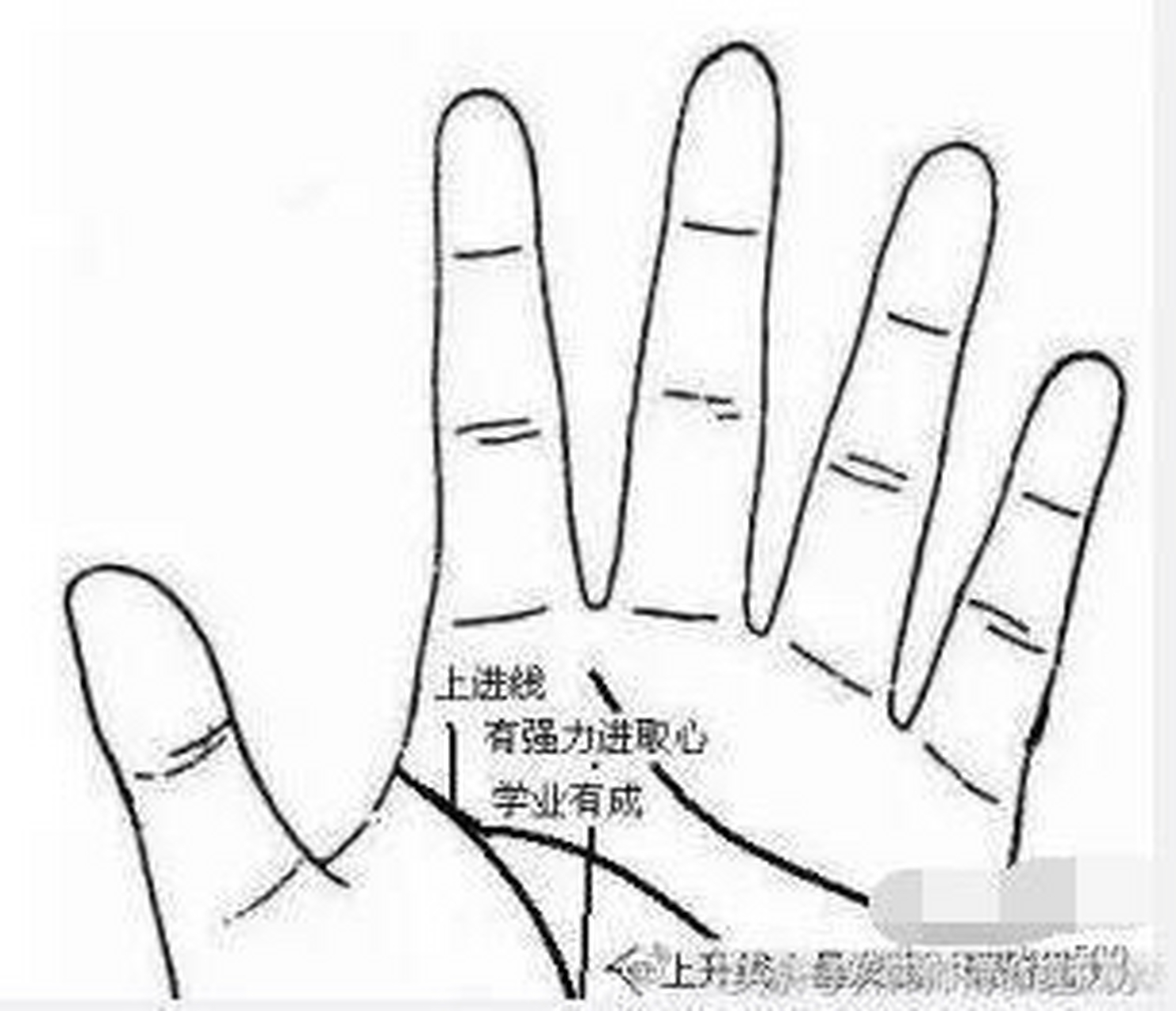 手相算命,1,水星线又称为直觉线,出现于尾指对下的水星丘,有清晰水星