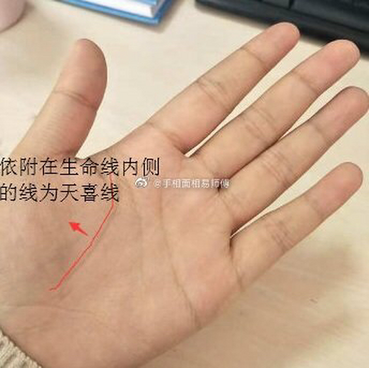 天喜纹就是内生命线,即沿着生命线内侧的一条同样走向的线,主要起到的
