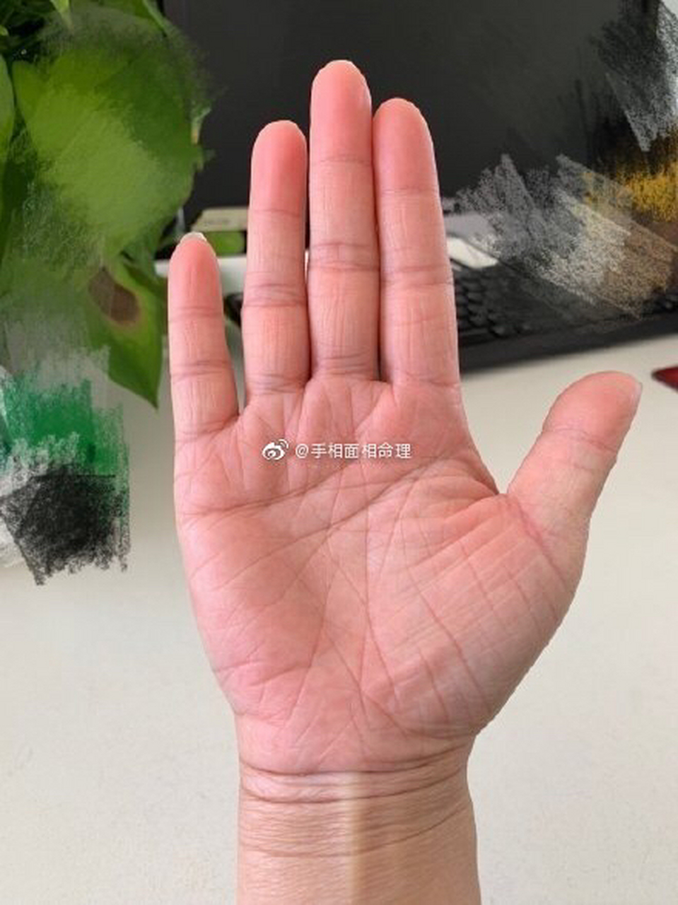 手相预测#缘主的手掌纹的确是很杂乱,金星丘上呈网格状,表示你会平梃