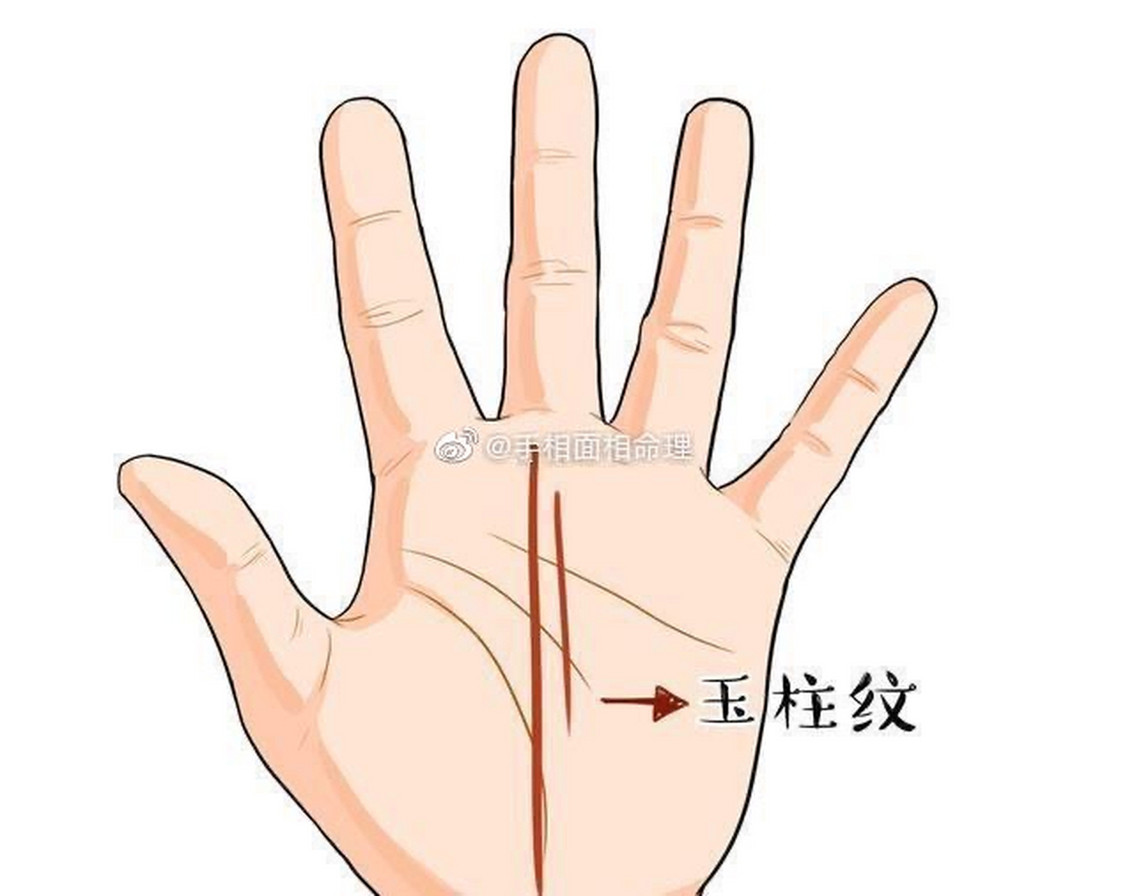 玉柱纹开端有分叉 如果玉柱纹从开端的位置有交叉状,或者流苏状,同时