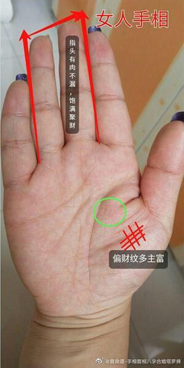 简单易懂的看手相中有无财气,是否容易发财致富:  1,手掌厚实 手掌很