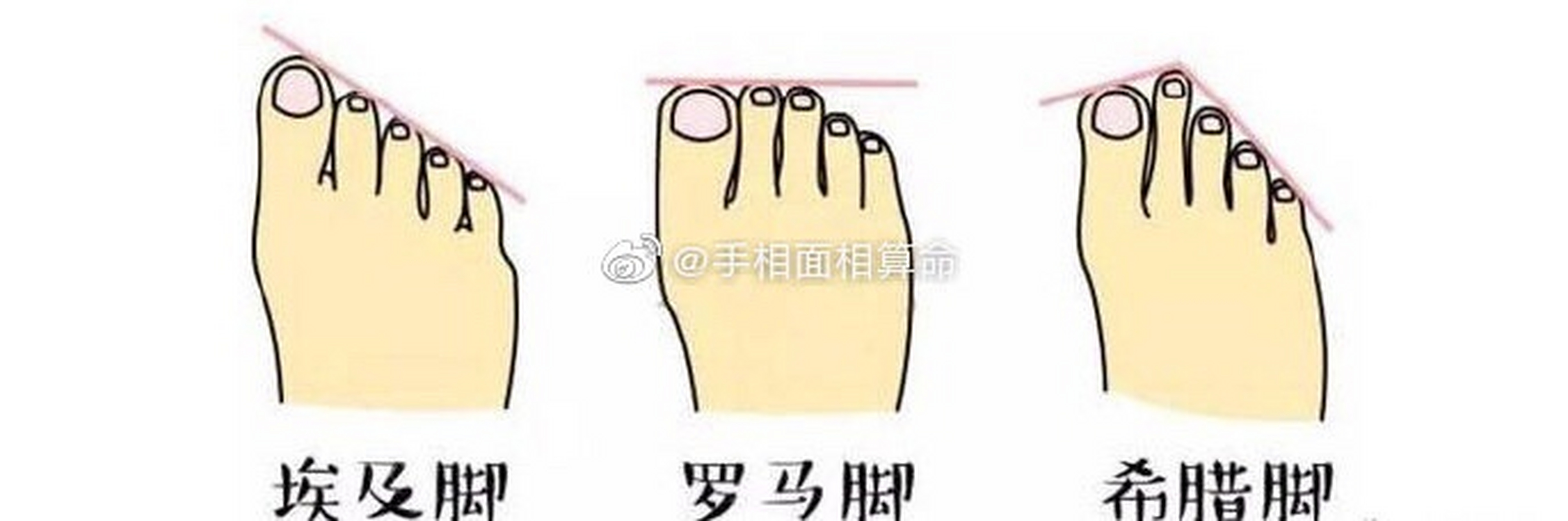 长着埃及脚的女性很有素养,通常也有一两门拿手技艺,她们对人生目标