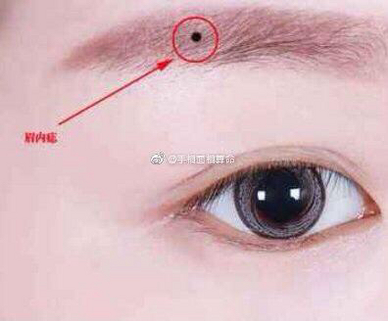 有以下痣相的人一夜暴富不是梦  1:长在眉毛中的痣 眉毛中的痣是位于