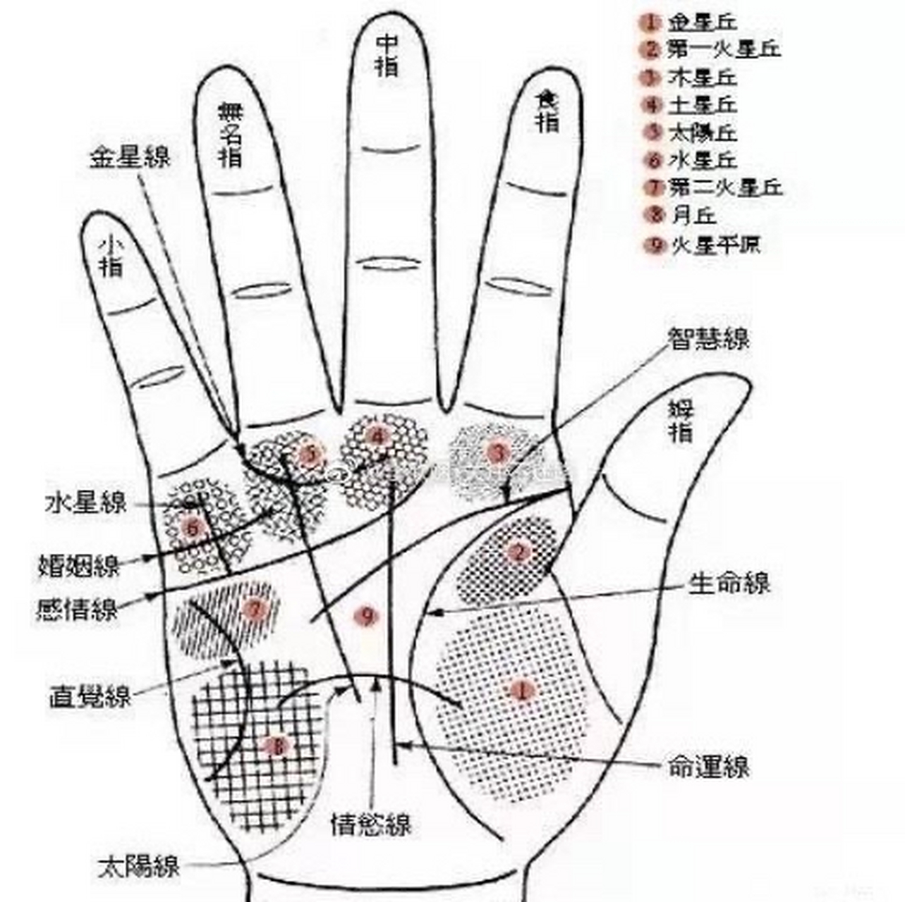 1,悬鱼纹 手中学堂位置.