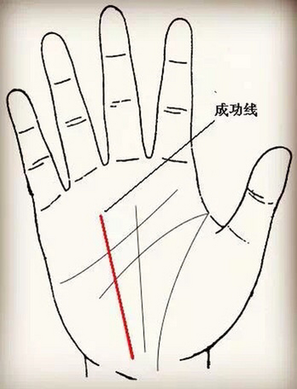 如果手掌上有成功线是事业成功的重要辅助,但不是每个人都有,而且即使