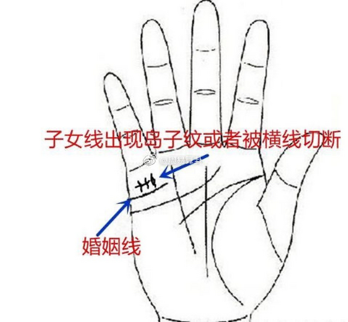 以往子女线的数目表示孩子的数目,但是在节育盛行的今日,与其说是实际