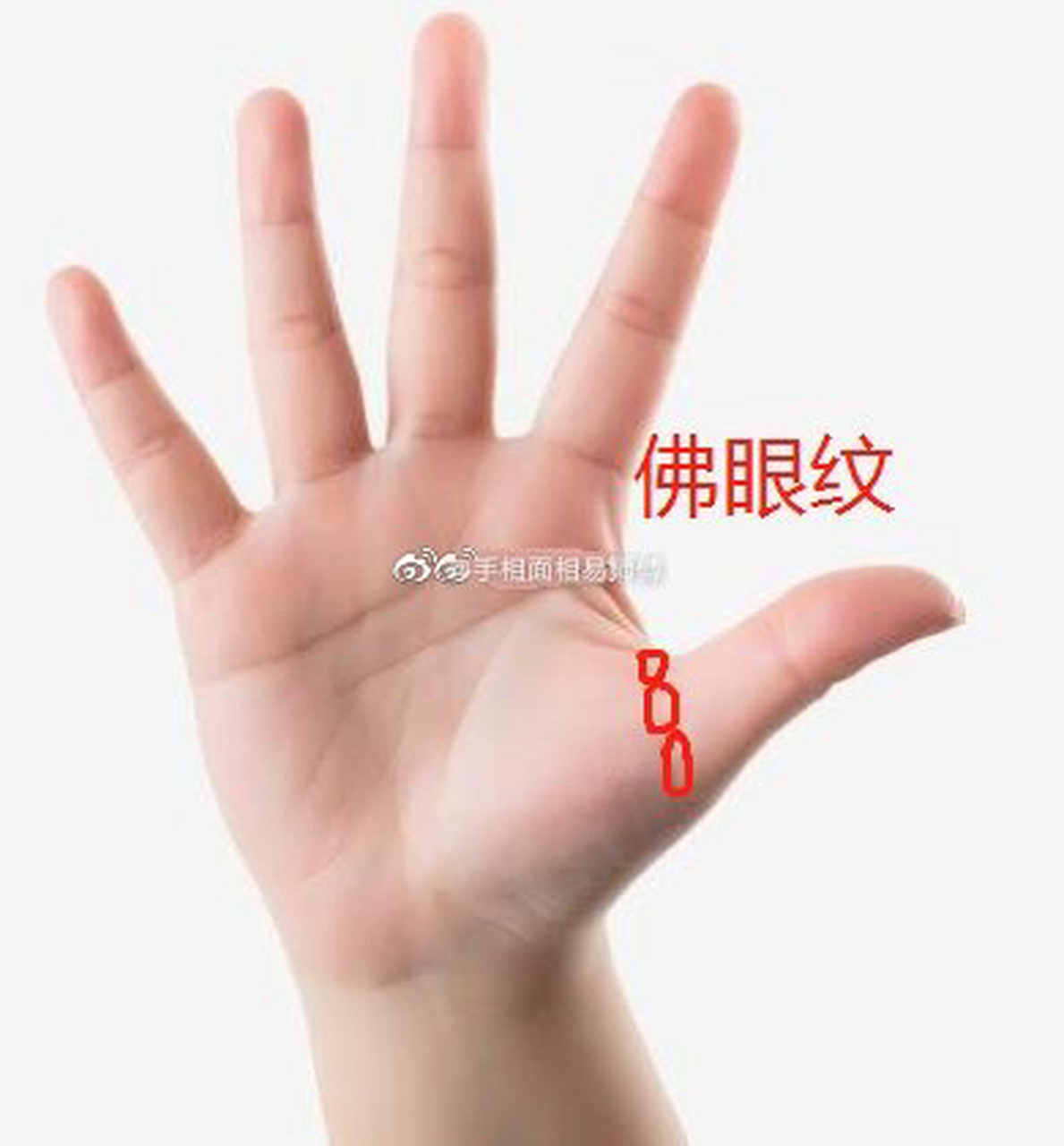 拥有佛眼的人天生就直觉能力很强,因此每次都可以做