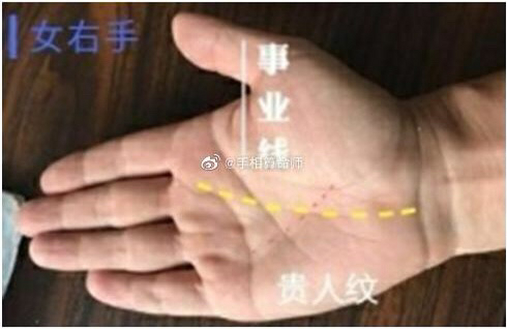 手相算命中事业线深长的人:有这种手相的人在求财方面有很大的能力