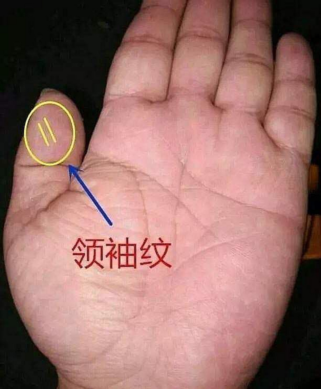 马云因为这手相创业成功了,你有这样的手相吗?