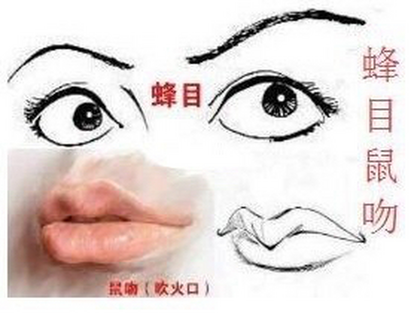 蜂目鼠吻是什么面相?