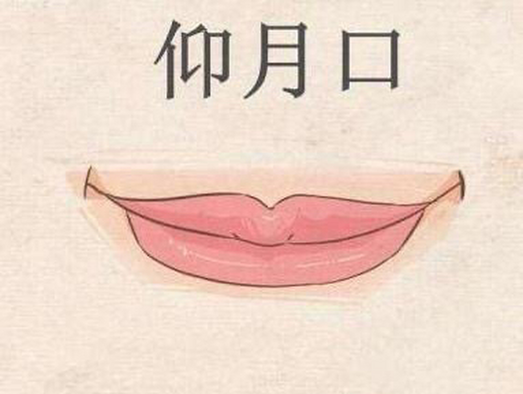 仰月口 仰月口的口型特征是:口如仰月上朝弯.