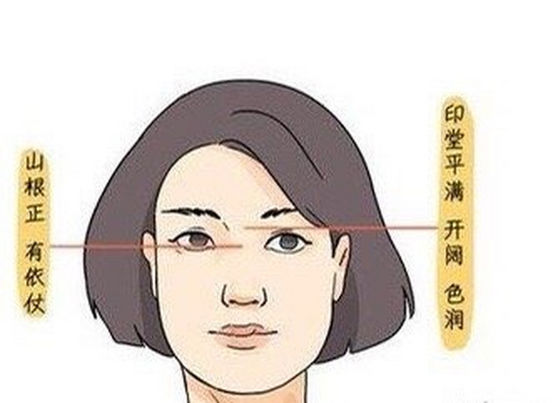 山根直通印堂女人图片